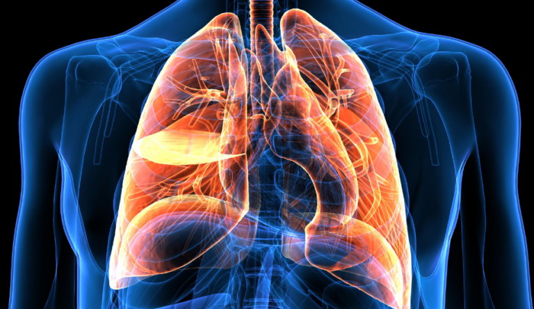 Lungs & Breathing